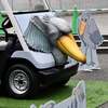 知事推しのハシビロコウ　ハシビロコウカート登場