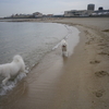 ○海水浴の後は　シャンプー♪