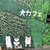 〈その2053〉ホアヒン その4 犬カフェ