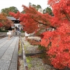 京都西山「光明寺」紅葉　2018