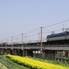 第3015列車　「　菜の花を絡めた鮫代走の5087レを狙う　」