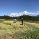20代で白髪になってしまった男のブログ