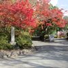 修学院あたり
