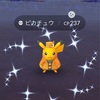 ポケモンGO　今週のポケGO　31日は激熱だよ