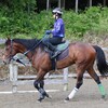 【POG2022~23シーズン】指名馬紹介／日刊競馬POG編