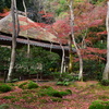 祇王寺の紅葉