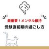 受験直前期の過ごし方【難関国立大学院合格】【メンタル維持】