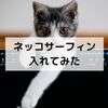 ネットをしながら猫に癒される「ネッコサーフィン」を入れてみました