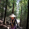 徳島６日目②　別格①番～大山の上で縁結びを