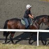 【一口馬主／ベイステート】ついに…その時がきた！