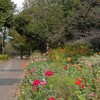 寄り道🎵  久々のジョグ公園はいつの間にか秋の気配🍂