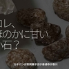 2188食目「コレ、ほのかに甘い小石？」カタパン＠熊岡菓子店＠善通寺＠香川