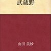 日本初のベストセラー作家の話。