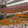 桜のシーズンですね〜^o^🌸