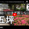 ぎふ町旅シリーズ第７弾＠五坪：病院にはほぼ困らない