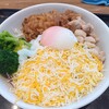【吉野家】チーズ牛サラダの正解、教えます。店員さんに聞かれた朝の一杯【常連おすすめ】
715