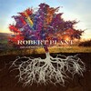 Robert Pant / Digging Deep