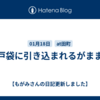戸袋に引き込まれるがまま