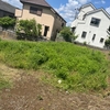 サツマイモの苗植え（年長）
