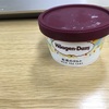 手土産のハーゲンダッツアイスクリーム