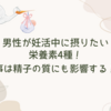 男性が妊活中に摂りたい栄養素4選！食事は精子の質にも影響する！？