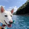 本栖湖でカヌー＆デイキャンプ