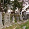 馬頭観音と三渡神社の種まき桜