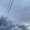照合