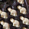 ゾウさんチョコ