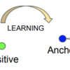  Learning Fine-grained Image Similarity with Deep Ranking