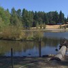 King County working to add more green space to combat extreme heat              