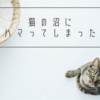 猫沼にハマる