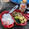 チェアリングモドキ