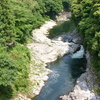 鮎　滝　・　初夏の風物詩