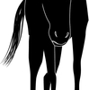 【追い切り注目馬】【七夕賞】【彦星賞】【天の川賞】【織姫賞】他　2023/7/9(日) 福島競馬　中身濃い登坂