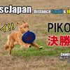 祝ピコの初の決勝進出です！テラと一緒に家族全員で決勝だー ＠稲沢 Nov15.2020