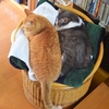 今日から９月