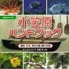 拓海広志「小笠原の母島にて・・・」
