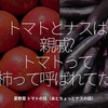 1012食目「トマトとナスは親戚？トマトって柿って呼ばれてた？」夏野菜 トマトの話（あとちょっとナスの話）