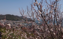 記事を見る