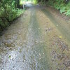 曇りのち晴れのち雨、天気にも道路にも翻弄の山と海ぶらぶらポタリング