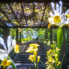 Posted for World Pinhole Photography Day.