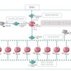 CSR1000v in ESXi 6.0