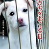 知っていますか？年間4000の犬が殺されていることを。《犬たちをおくる日ーこの命、灰になるために生まれてきたんじゃない 今西乃子》