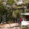 参道の杉並木に惚れた！戸隠神社奥社