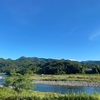 宮崎遠征"綾フェス"