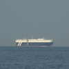 MSC IMMACOLATA