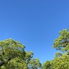 夏の海を思い出す今日の青空。