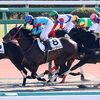 １６日に帰厩。次走は２回福島のダ１１５０ｍへの出走を予定しています。☆オリーヴベリー