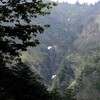 日光　五色沢